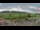 Webcam in Forch, 5.9 km