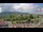 Webcam in Forch, 8.9 km