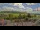 Webcam in Forch, 9.8 km