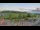 Webcam in Forch, 13.6 km