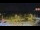 Webcam in Forch, 9.2 km