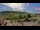 Webcam in Forch, 13.1 km entfernt