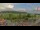 Webcam in Forch, 14 km