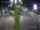 Webcam in Dubrovnik, 3.4 km entfernt