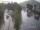 Webcam in Dubrovnik, 2.6 km