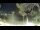 Webcam in Peguera (Mallorca), 7.8 km entfernt