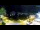 Webcam in Port d'Andratx (Mallorca), 21 km entfernt