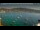 Webcam in Magaluf (Mallorca), 0.4 km