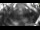 Webcam in Hard, 13.3 km entfernt