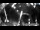 Webcam in Hard, 13.3 km entfernt