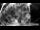 Webcam in Hard, 15.6 km