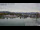 Webcam in Hard, 9.9 km entfernt