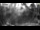 Webcam in Hard, 6.8 km entfernt