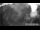 Webcam in Hard, 8.6 km