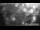 Webcam in Hard, 9.9 km entfernt