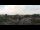 Webcam in Offenburg, 28.9 km entfernt