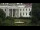 Webcam in Washington D.C., District of Columbia, 24.4 km