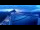 Webcam in Schwanden bei Brienz, 8.4 km
