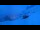 Webcam in Grindelwald, 2.5 mi away
