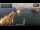 Webcam on the Enchanted Princess, 10 mi away