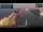 Webcam på Enchanted Princess, 2 km