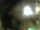 Webcam in Rechlin, 10.9 mi away