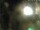 Webcam in Rechlin, 19.7 mi away