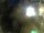 Webcam in Rechlin, 10.9 mi away