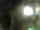 Webcam in Rechlin, 11.7 mi away