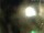 Webcam in Rechlin, 12.1 mi away