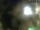 Webcam in Rechlin, 12.1 mi away