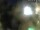Webcam in Rechlin, 31.3 km