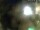 Webcam in Rechlin, 19.7 mi away