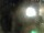 Webcam in Rechlin, 10.9 mi away