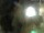 Webcam in Rechlin, 11.7 mi away
