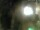 Webcam in Rechlin, 11.7 mi away