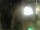 Webcam in Rechlin, 11.7 mi away