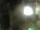 Webcam in Rechlin, 19.7 mi away