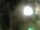 Webcam in Rechlin, 9.4 mi away