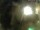 Webcam in Rechlin, 11.7 mi away