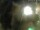 Webcam in Rechlin, 51.1 km