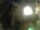 Webcam in Rechlin, 11.7 mi away