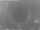 Webcam in Loano, 2.3 km entfernt
