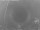 Webcam in Loano, 2.3 km entfernt