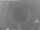 Webcam in Loano, 1.4 mi away