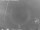 Webcam in Loano, 0.1 km