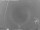 Webcam in Loano, 0.1 mi away