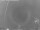Webcam in Loano, 27 km entfernt