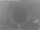 Webcam in Loano, 8.3 km