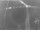 Webcam in Loano, 8.4 km